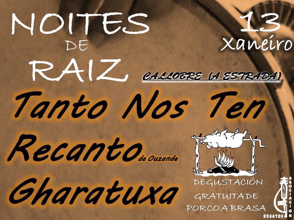 13-01-2018 Noites de Raiz Callobre.jpeg