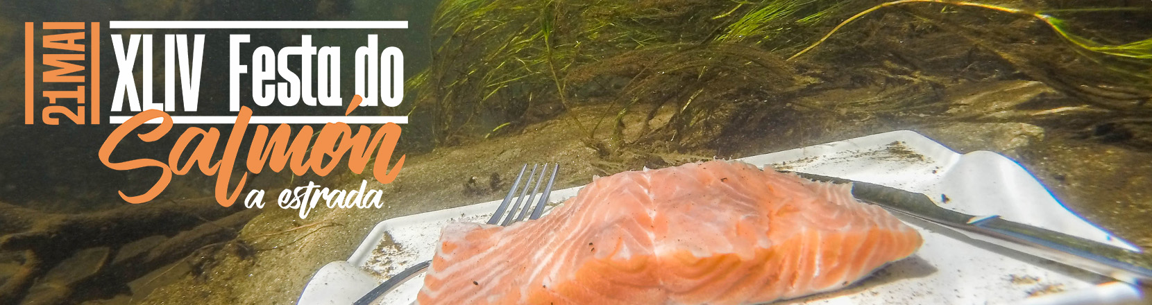 Festa do salmon.jpg