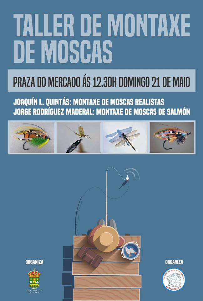 Montaxe de moscas dia 21.jpg