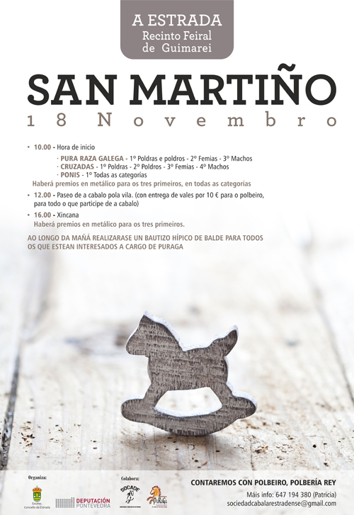 CARTEL SAN MARTIÑO2018