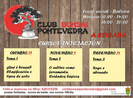 bonsai2019