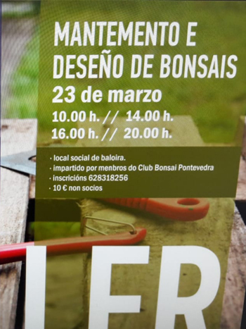 bonsais 230319