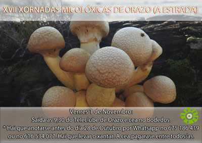 micoloxicas orazo2019